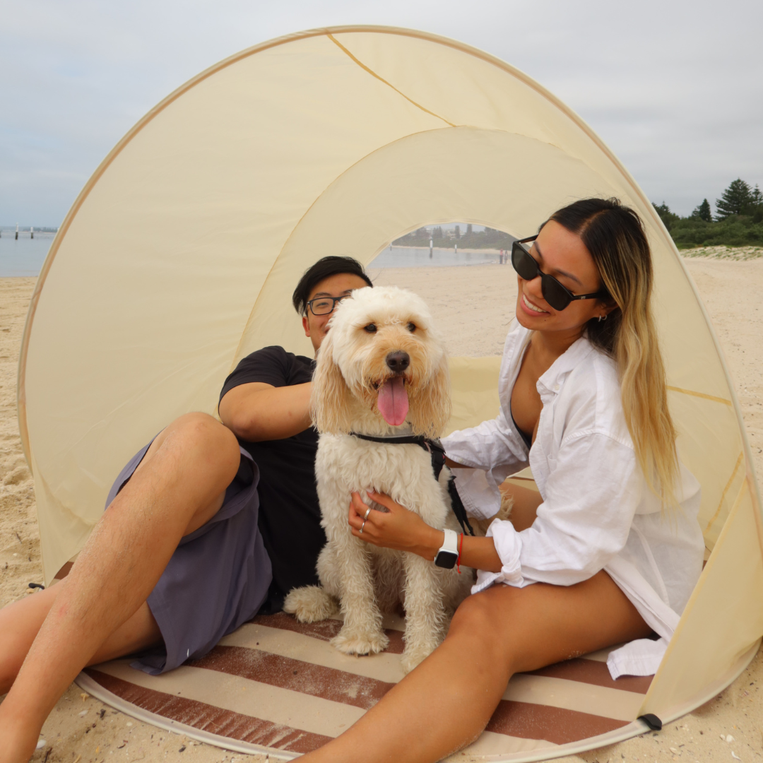 Pop Up Beach Tent